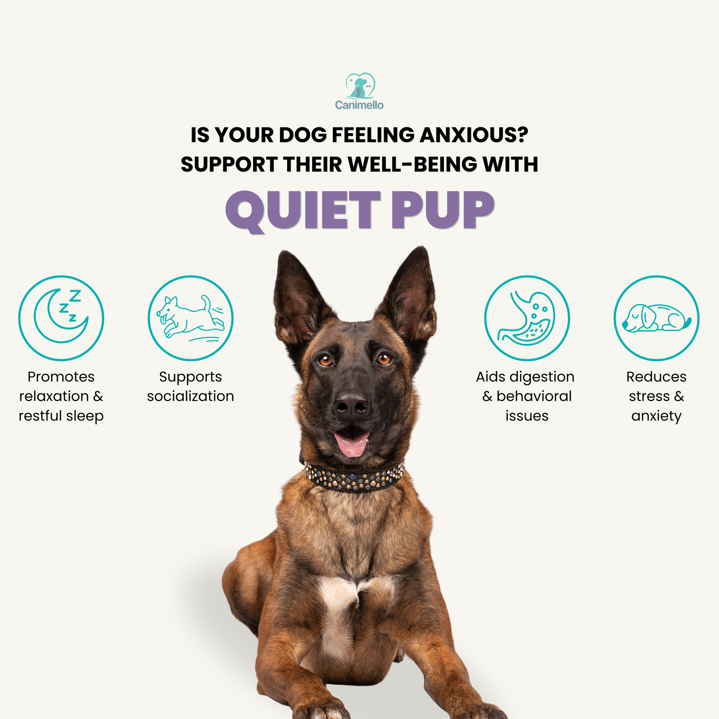 Quiet Pup - Calming Bites for Dogs