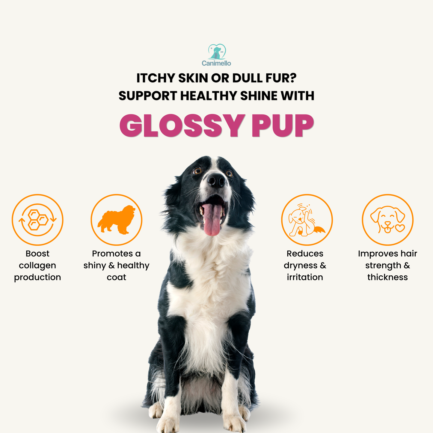 Glossy Pup - Skin & Coat Soft Chews