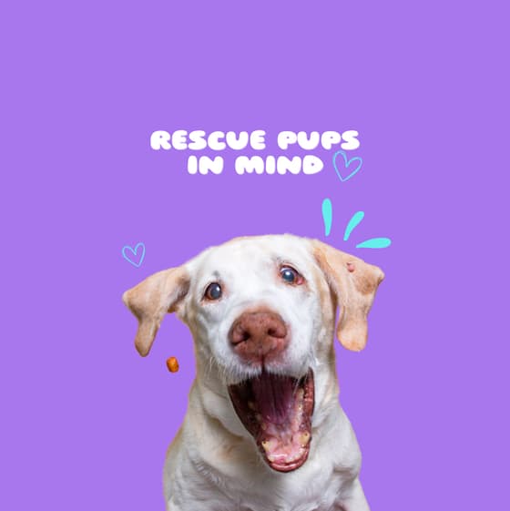 Rescue pups in mind