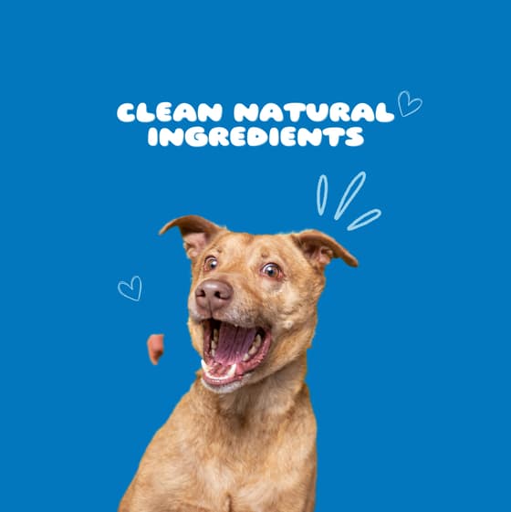 Clean natural ingredients